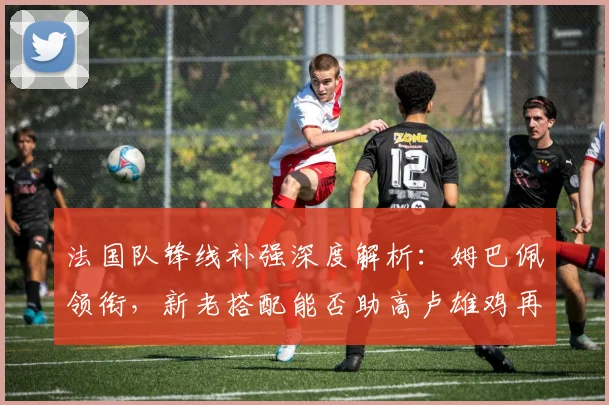 法国队锋线补强深度解析:姆巴佩领衔,新老搭配能否助高卢雄鸡再登欧洲之巅?
